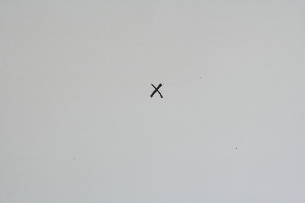 IMAGE: http://img.photobucket.com/albums/v467/airbutchie/Various%20Images/Sensor-Cleaning-02.jpg