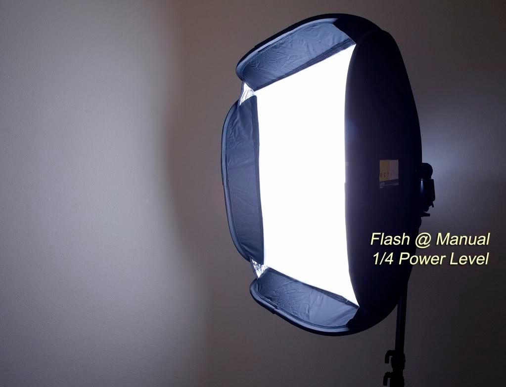 IMAGE: http://img.photobucket.com/albums/v467/airbutchie/Various%20Images/_MG_6708-labeled.jpg