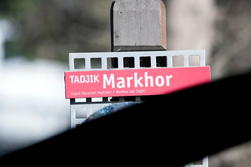 IMAGE: http://img.photobucket.com/albums/v467/airbutchie/Various%20Images/banding02.jpg