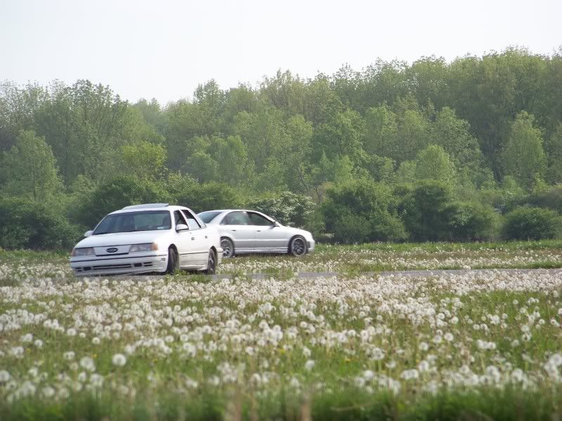 http://img.photobucket.com/albums/v467/badnewsmini/trackday/100_1450.jpg