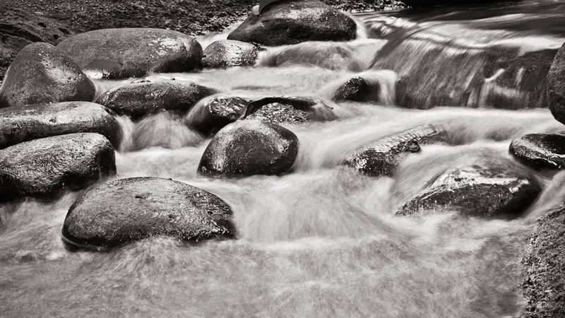 IMAGE: http://img.photobucket.com/albums/v467/billb6/Photo%20sites%202011/potn-lc-20110327-orig-light.jpg