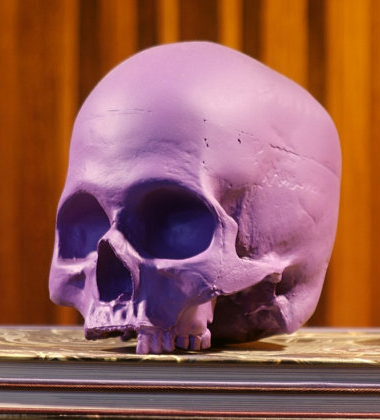 Purple Skull Chalkboard