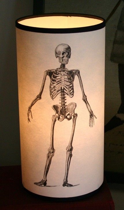 skeleton lamp