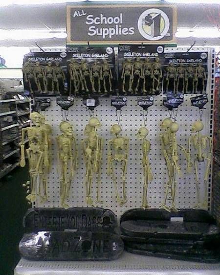 skull supplies