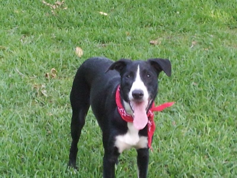 20120703_185837.jpg