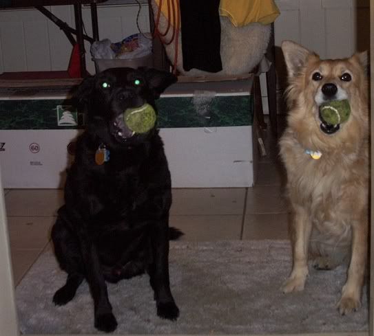 ball.jpg