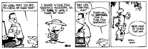 first-calvin-and-hobbesjpg-612e50a1.jpg