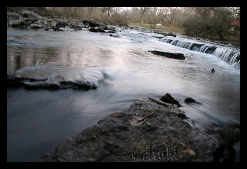 IMAGE: http://img.photobucket.com/albums/v467/paintballa01/IMG_9258copy.jpg