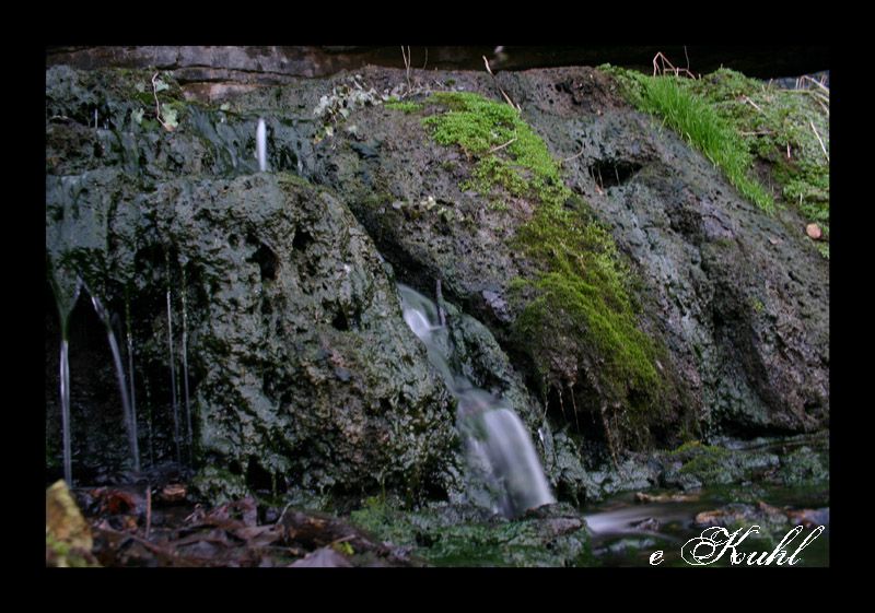 IMAGE: http://img.photobucket.com/albums/v467/paintballa01/IMG_9266copy.jpg