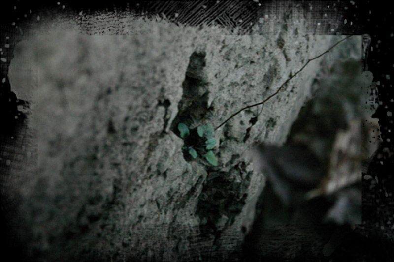 IMAGE: http://img.photobucket.com/albums/v467/paintballa01/dd25a911.jpg