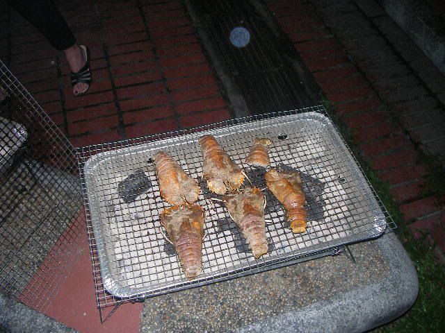 Image hosted by Photobucket.com