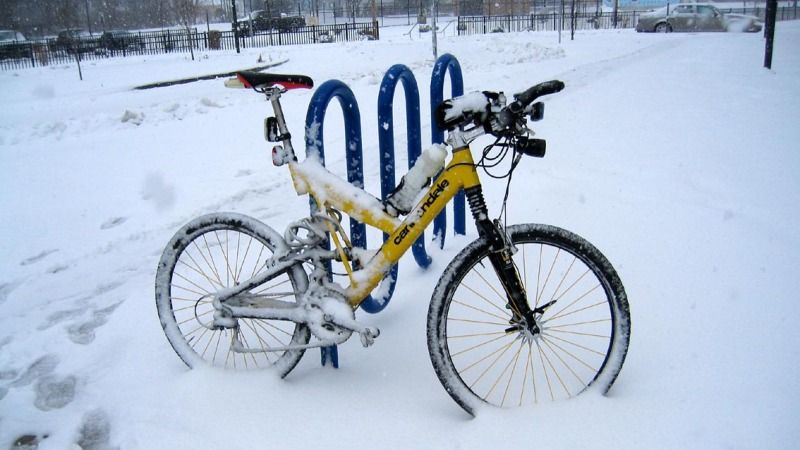 Cyclist-SnowDay-IMG_4647.jpg