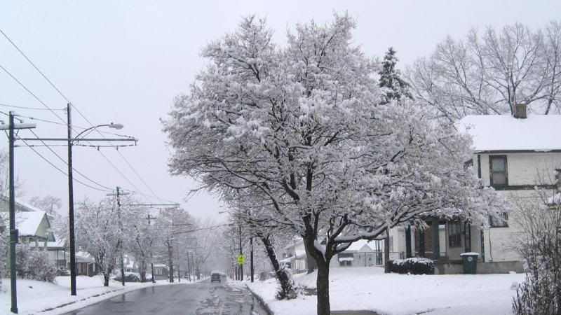 Cyclist-SnowDay032513-IMG_4897_zps04cf3433.jpg