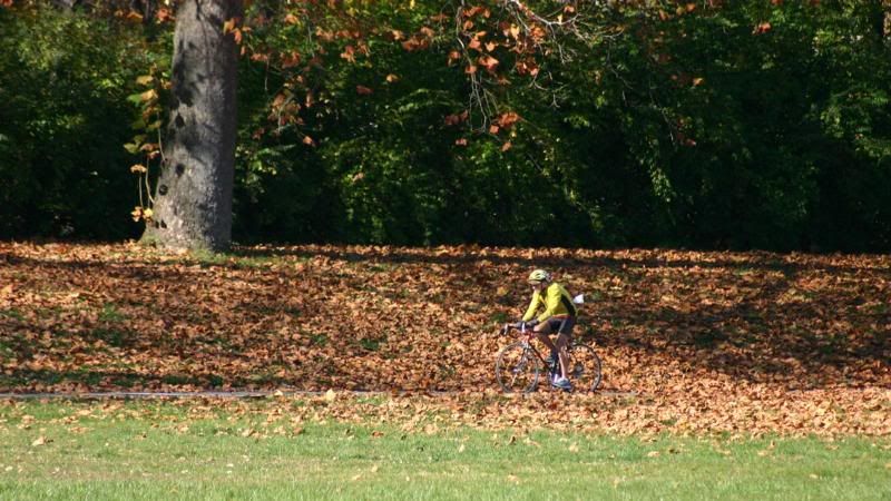 Cyclist-StillwaterAtTrianglePark-IMG_5552.jpg