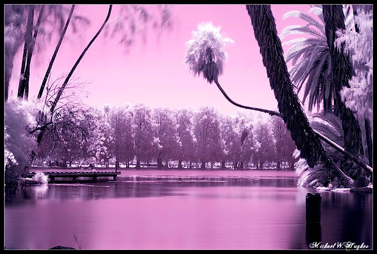 IMAGE: http://img.photobucket.com/albums/v468/ghaleon109/IR_2.jpg