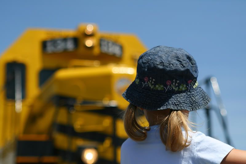 IMAGE: http://img.photobucket.com/albums/v468/mikeireland1/IMG_5398.jpg