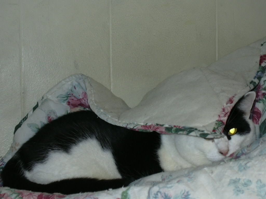 The Lump is watching you.