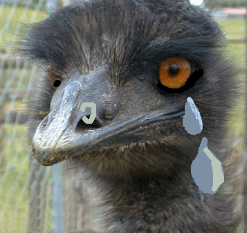 emu.gif