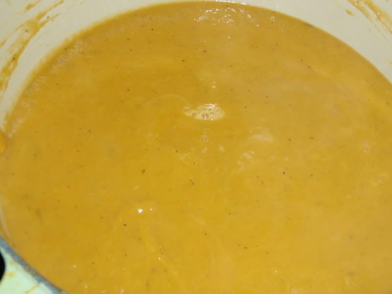 Butternut Squash and Leek Soup