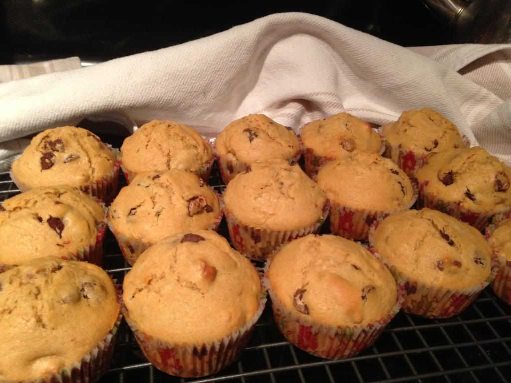  photo chocolatechipmuffins2.jpg