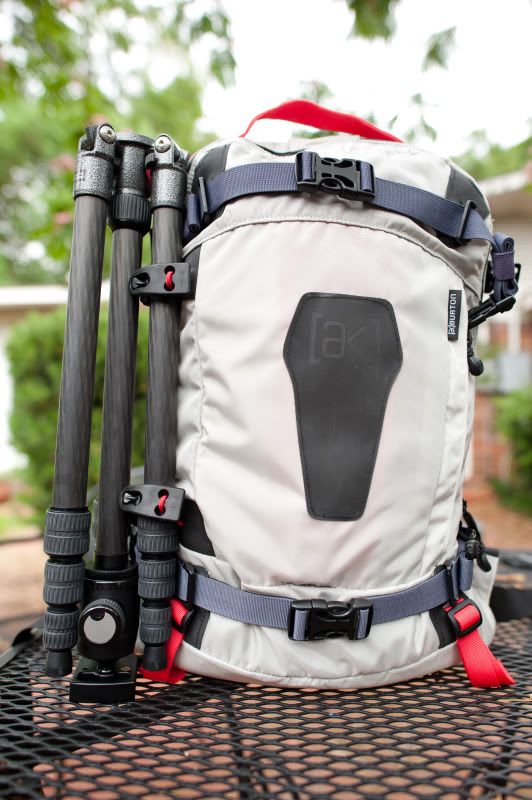 IMAGE: http://img.photobucket.com/albums/v469/Alpenglowing8/Random%20Pics/CHE_9609.jpg