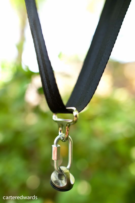 IMAGE: http://img.photobucket.com/albums/v469/Alpenglowing8/Straps/CHE_8578.jpg