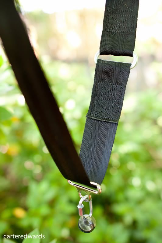 IMAGE: http://img.photobucket.com/albums/v469/Alpenglowing8/Straps/CHE_8584.jpg