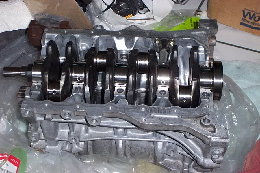 all motor z6/y8??? Honda Forum Honda and Acura Car Forums