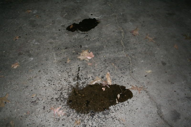 20081222041.jpg