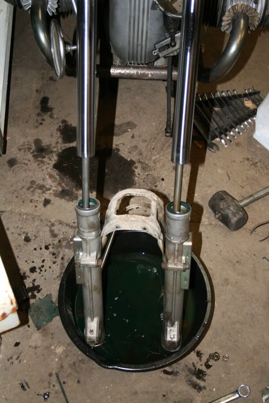 20081225010.jpg