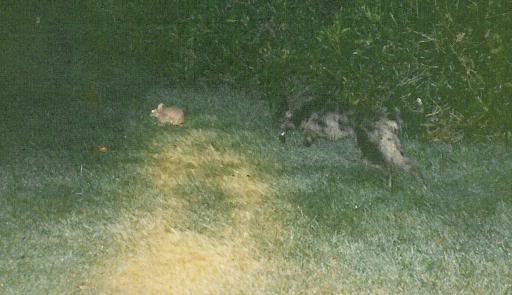 Picture031.jpg