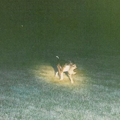 Picture063.jpg