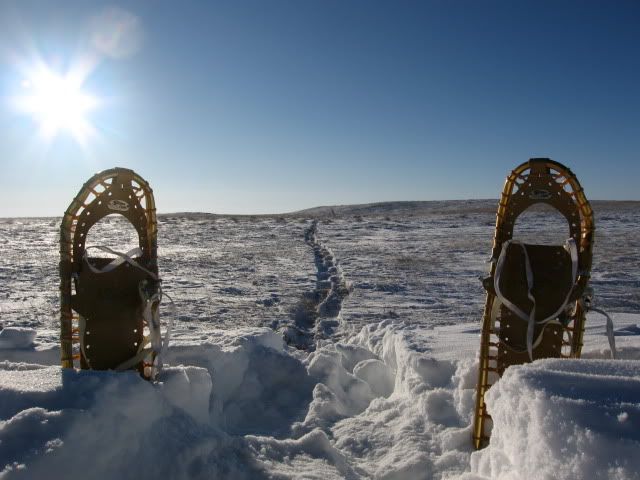 CoyoteHunting2009-10009.jpg