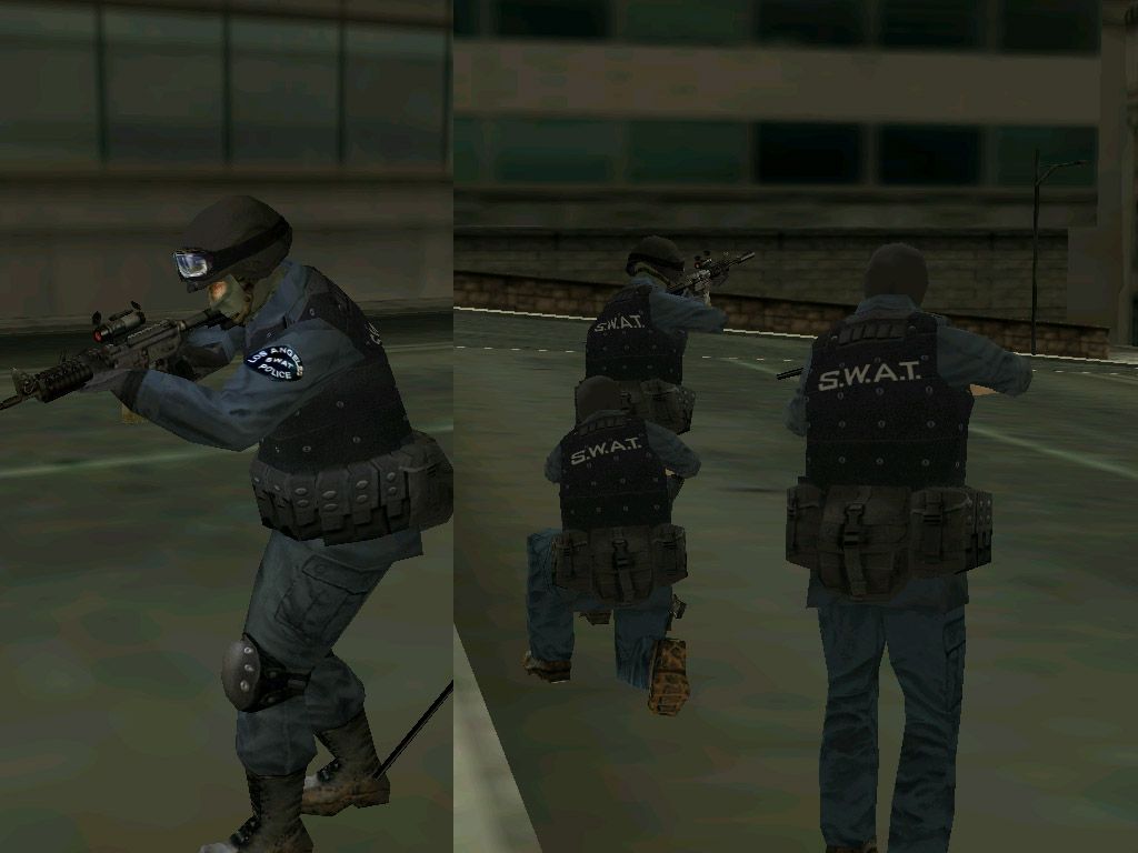 swat3.jpg