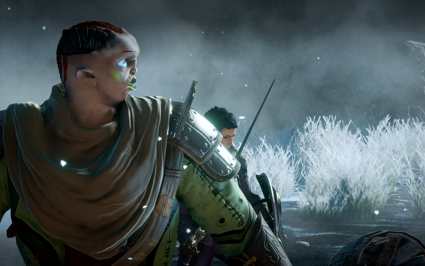 DragonAgeInquisition2014-12-3018-14-51-3