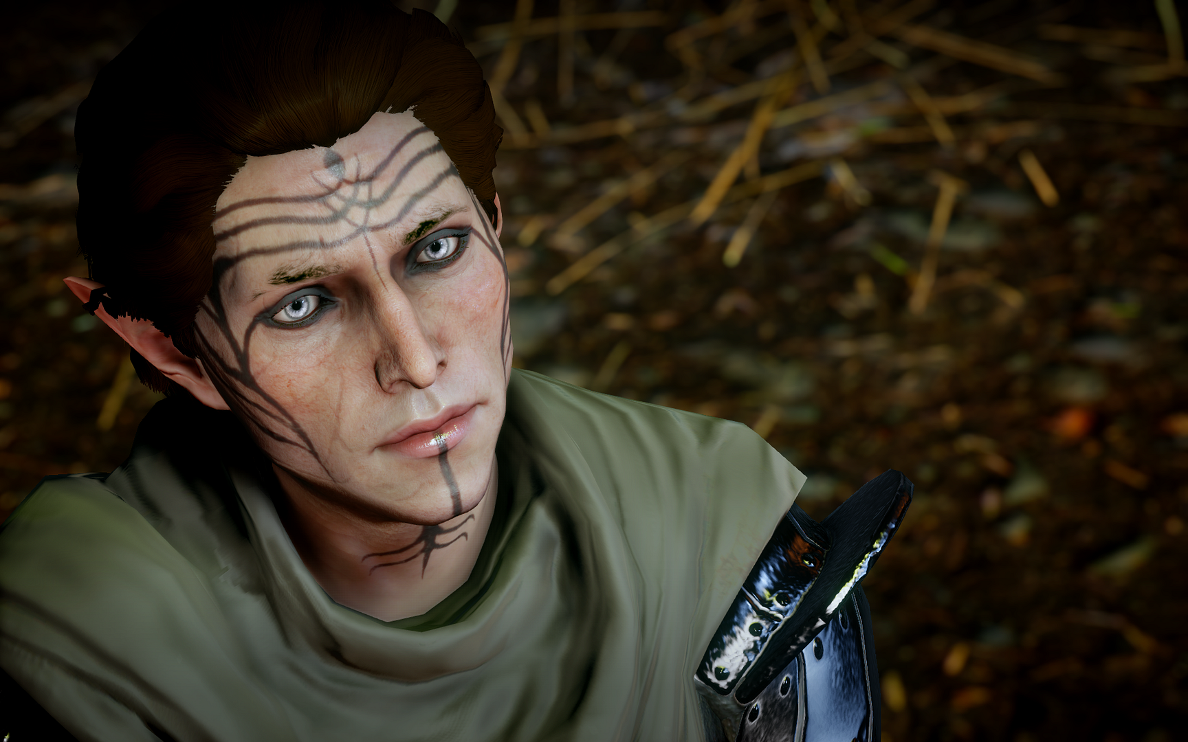 DragonAgeInquisition2014-12-3019-11-42-0