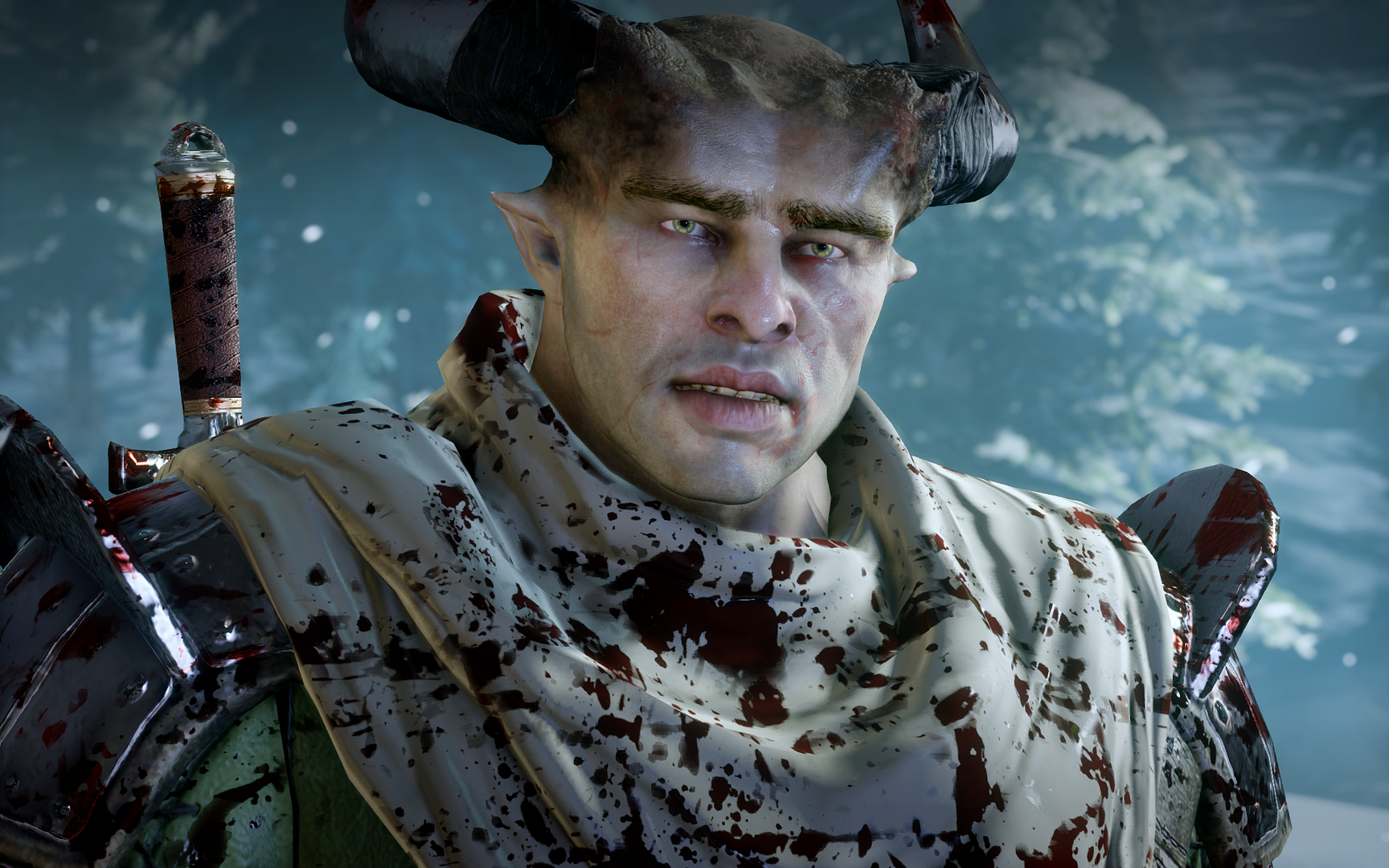 DragonAgeInquisition2015-01-0101-02-36-3