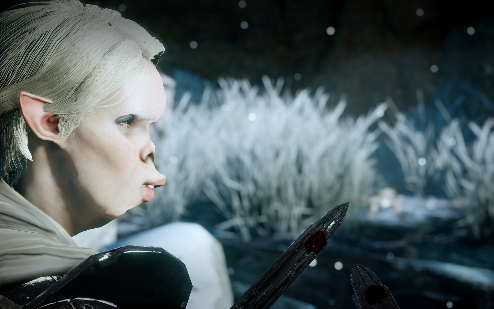 DragonAgeInquisition2015-01-0918-07-22-1