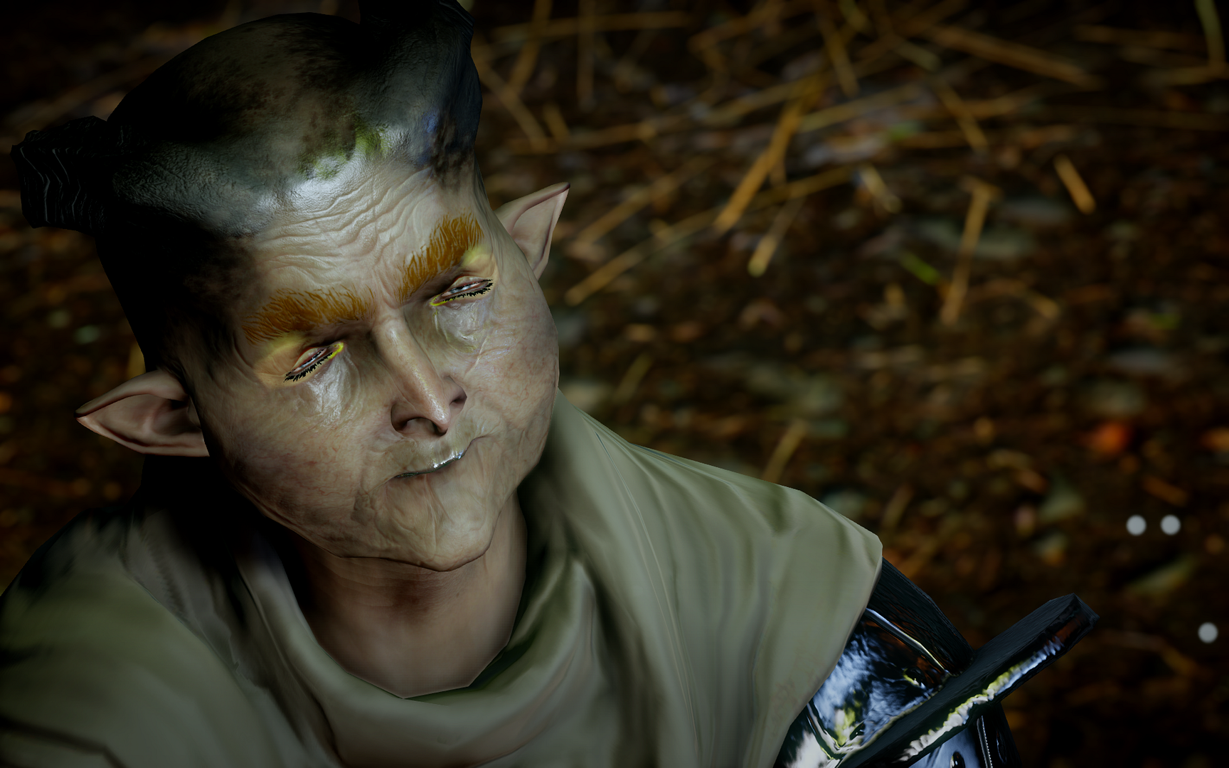 DragonAgeInquisition2015-01-1322-29-50-4