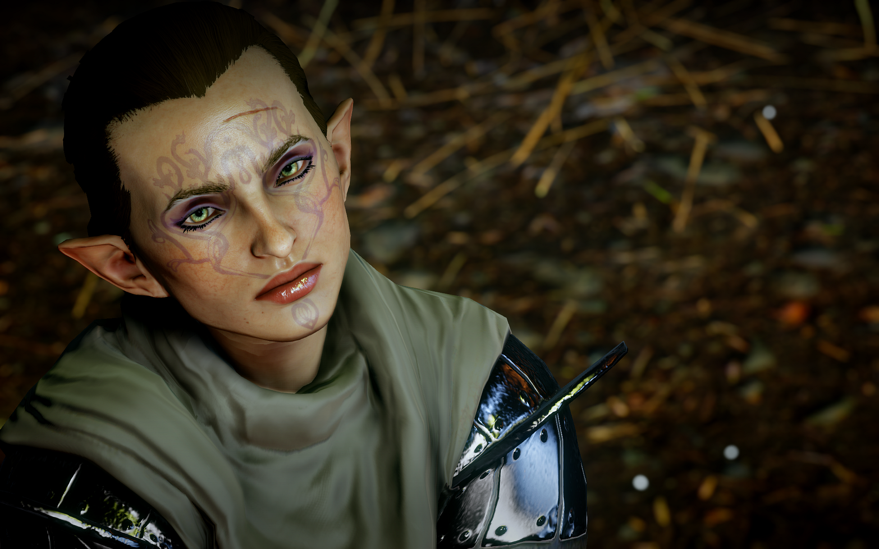 DragonAgeInquisition2015-02-1713-35-43-8