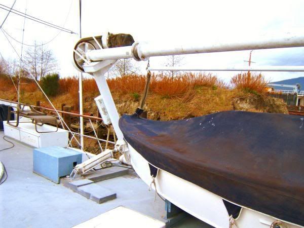 1800lbDavit.jpg