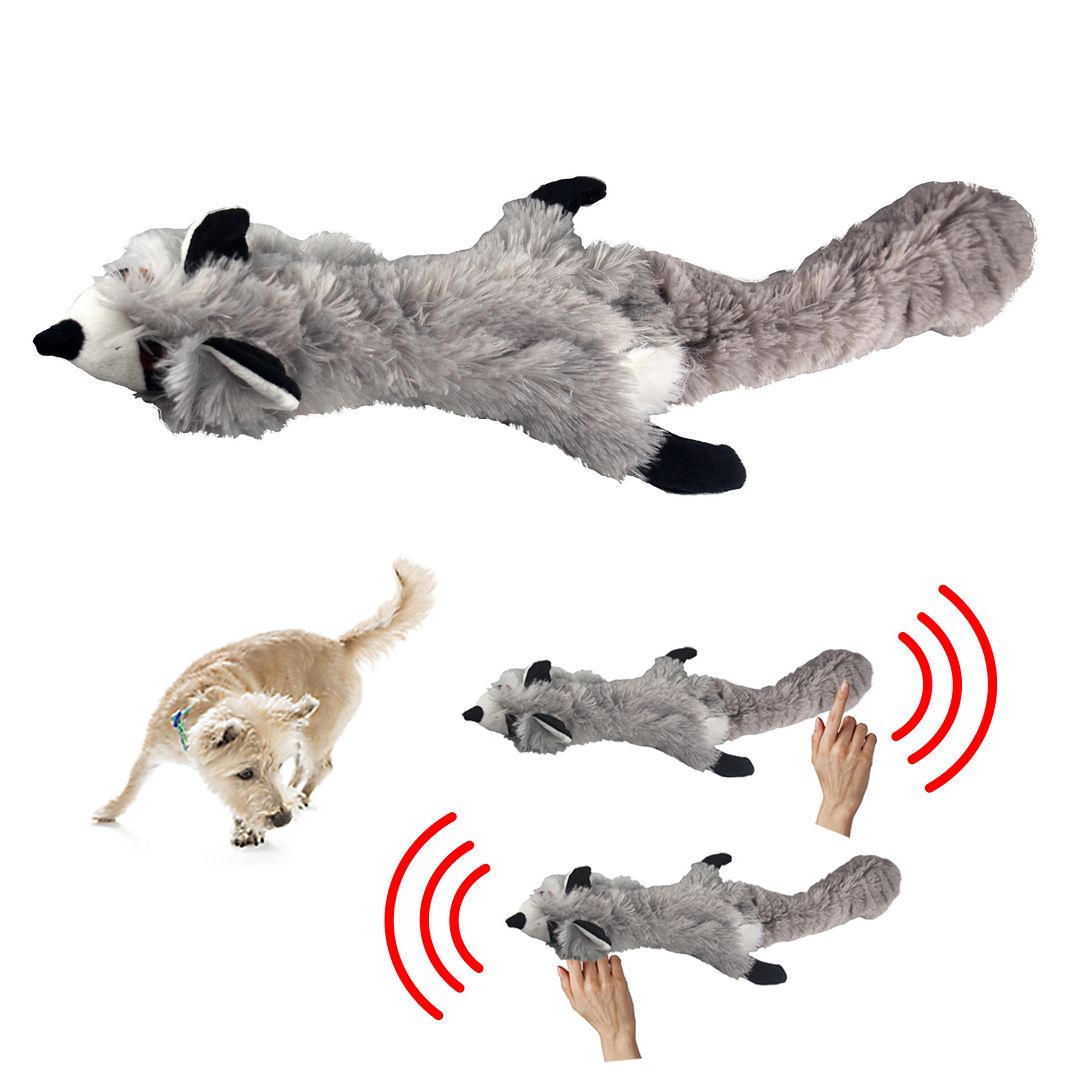 squeaky racoon dog toy