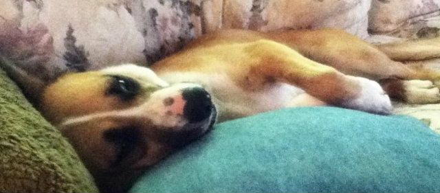 813e1131, Uploaded from the Photobucket iPhone App