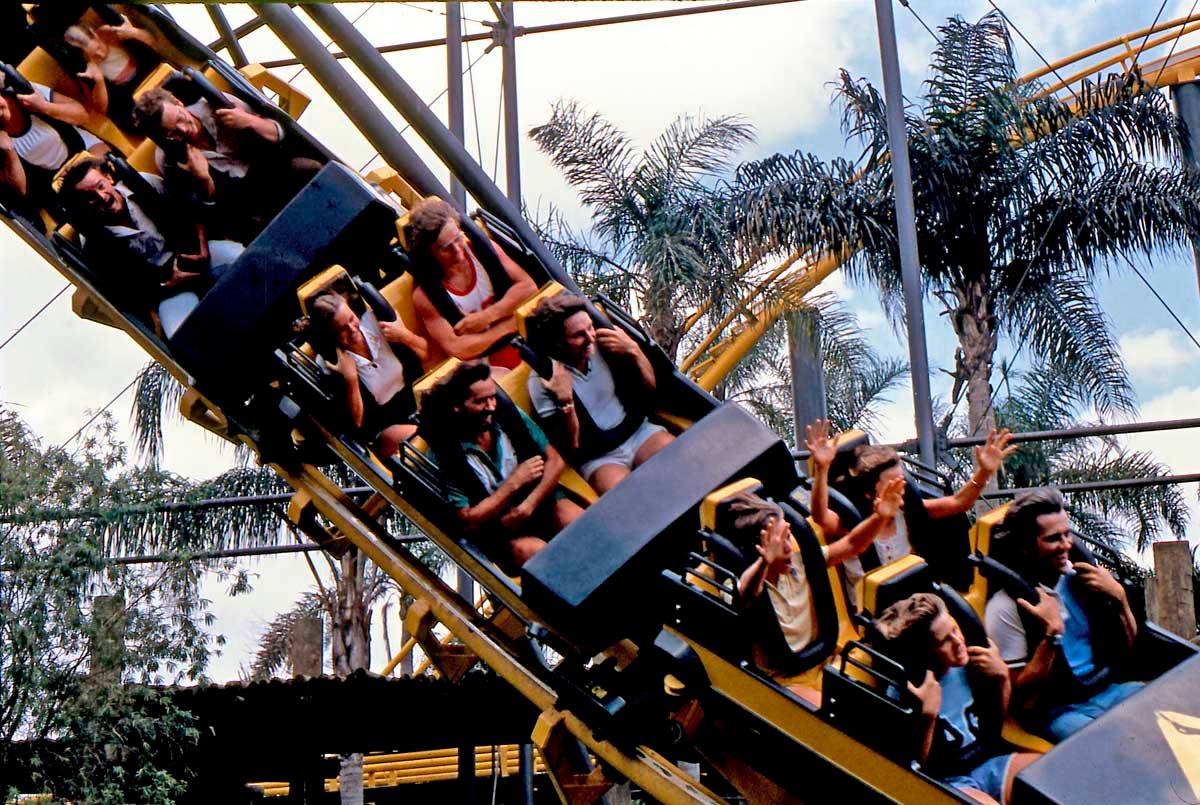 Gorillas Don T Blog Python Busch Gardens Tampa July 1979