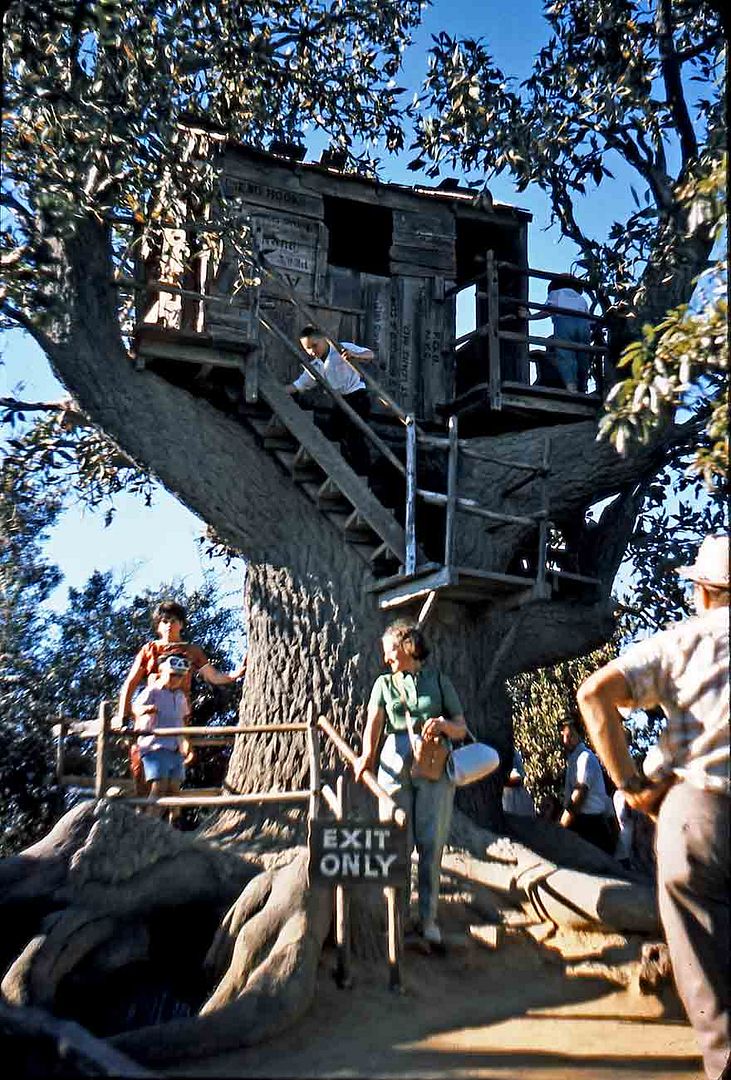 Island Tree House