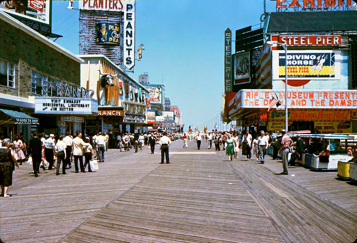 Gorillas Dont Blog Ocean City New Jersey June 1960