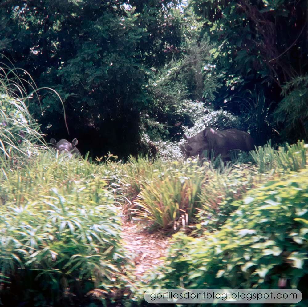 Gorillas Don T Blog The Jungle Cruise August 1970