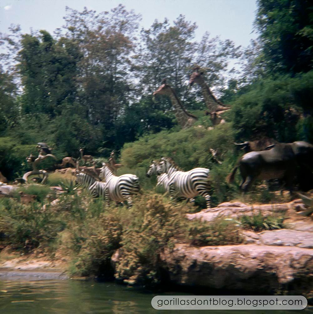 Gorillas Don T Blog The Jungle Cruise August 1970