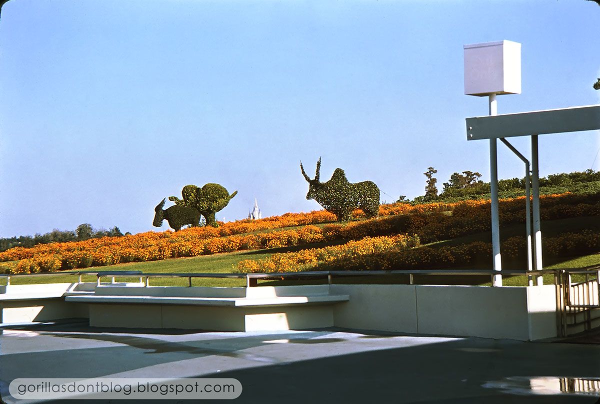 WDW-11-74-01.jpg