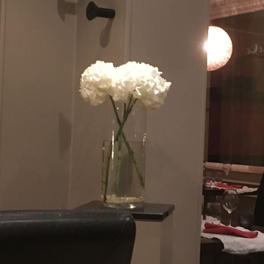 Diese Blumen entdeckte ich heute im Annexe und sie sind noch von meiner Geburtstagsfeier vom 10 September. Sie sind also 13!!! Tage (und mehr) alt.